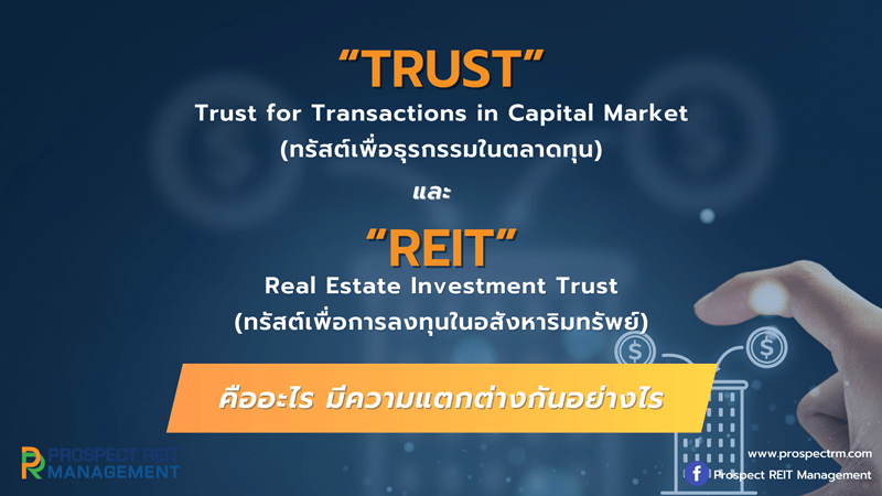 “TRUST” คืออะไร และ “REIT” คืออะไร  มีความแตกต่างกันอย่างไร