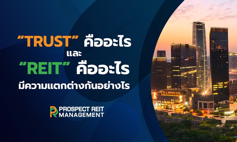 Trust” คืออะไร และ “Reit” คืออะไร มีความแตกต่างกันอย่างไร | Prospect Reit  Management